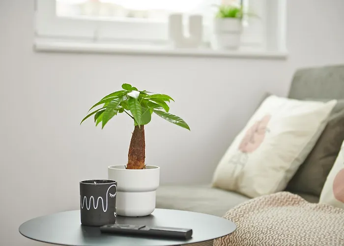 Lejlighedshotel Homeme Netflix, Parkplatz, Kueche, Zentral Bad Oeynhausen